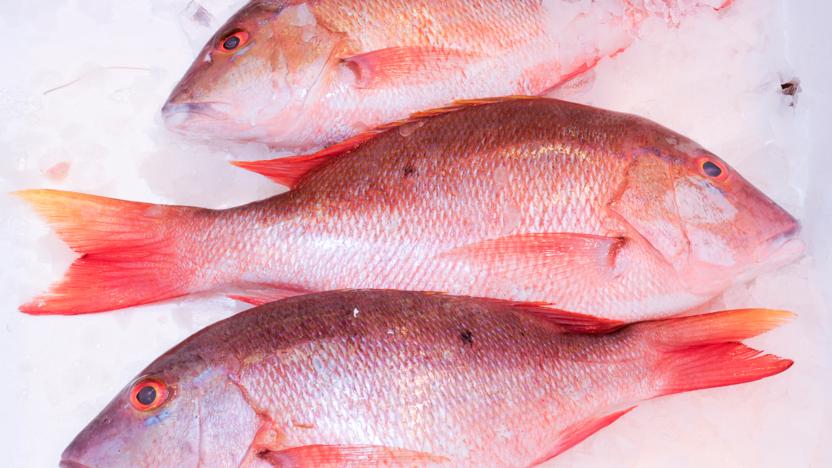 Red Fish 10kg