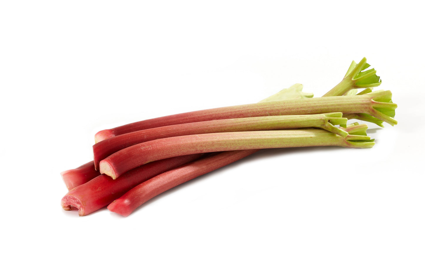 MASForced Rhubarb-Fd
