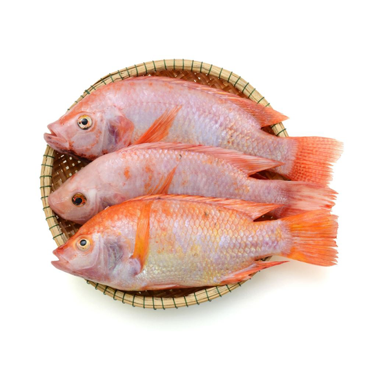 MASFrozen Red Tilapia Fish (Gutted & Scaled) 2.25kg-Fd Fish, Meat & Poultry Asetena Pa 