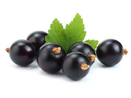 Blackcurrant