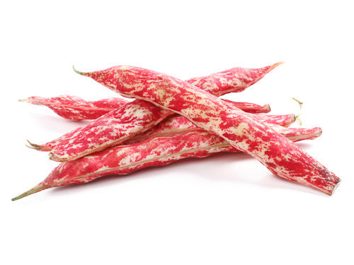 MASBeans & Pods-Fd