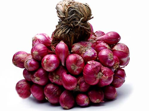 MASBunched Shallots-Fd