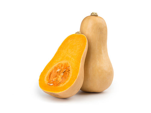 MASButternut Squash-Fd