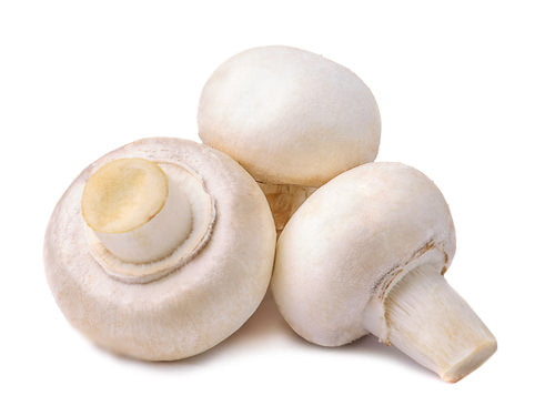 Button Mushroom
