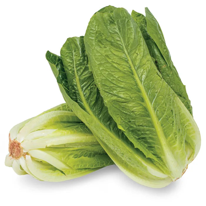 MASCos (Romaine) Lettuce-1x(10-12)-Food