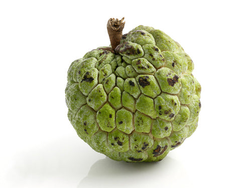 Custard Apple