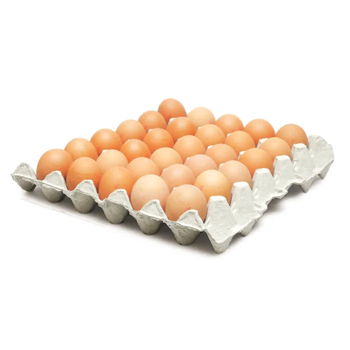 MASLion Quality Medium Eggs-(Size 3) 1 x 180-Food