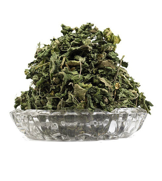 Dog blood Herbal Bush