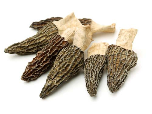 MASDried Morel Mushrooms-Fd