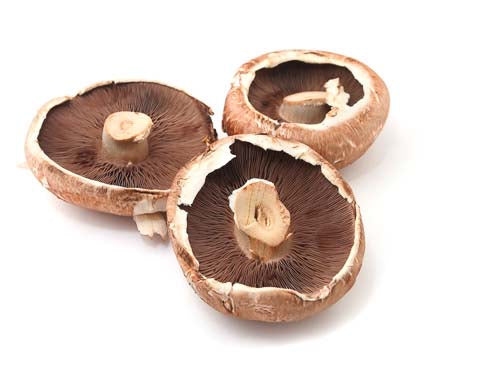 MASFlat Mushrooms-Fd