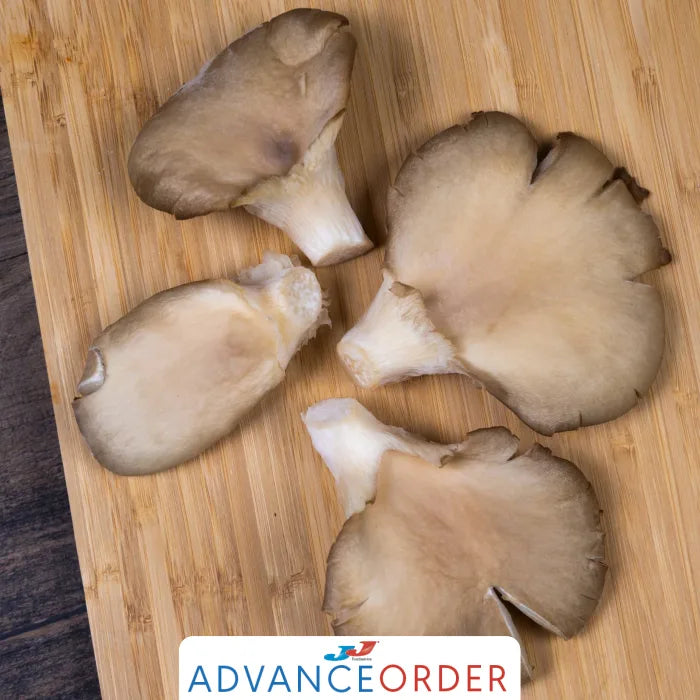 MASOyster Mushrooms 1x1.5kg-Food