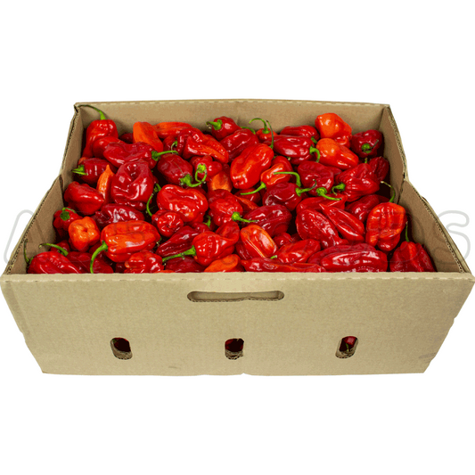 MASFresh Hot Pepper Box-Fd