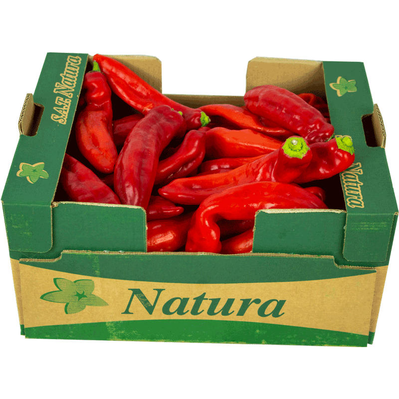 Fresh Long Red Pepper Box Fresh Foods Asetena Pa 