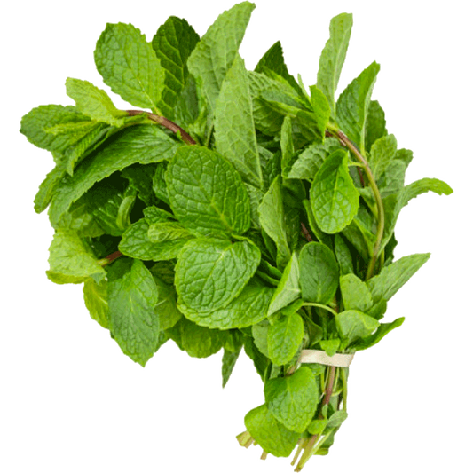Fresh Scent Leaf Bunch