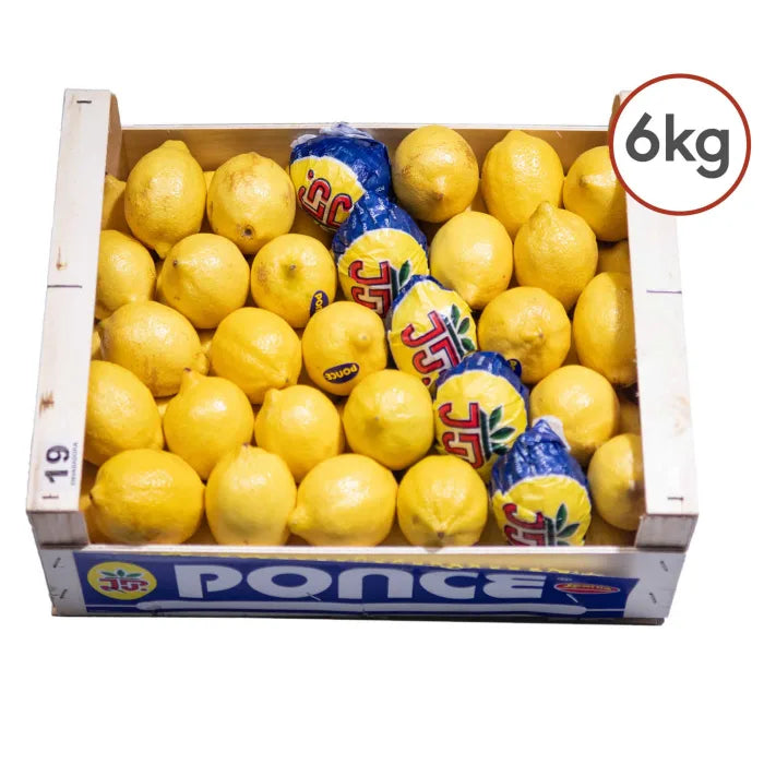 Fresh Lemons 1x6kg Fresh Fruits Asetena Pa 