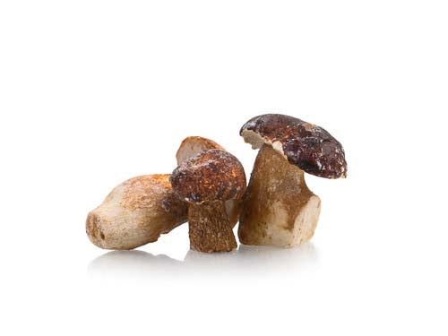 MASFrozen Cepes Mushrooms-Fd