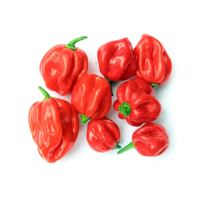 Scotch Bonnet Peppers-1x2kg-Food