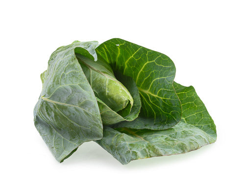 MASHispi Cabbage-Fd
