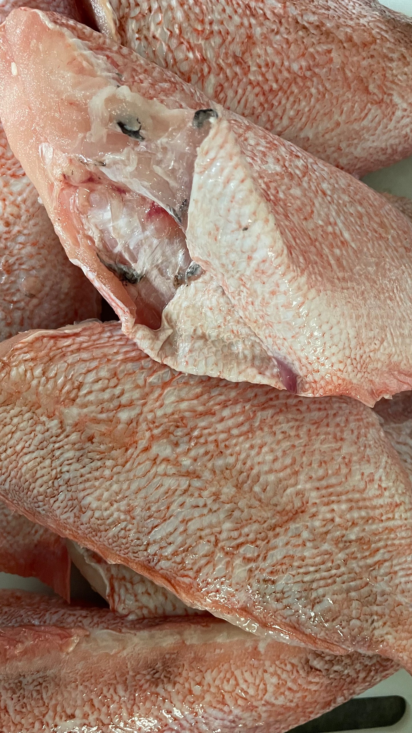 Frozen Red Bream Fish (300-500) 1/2 Box(3kg)