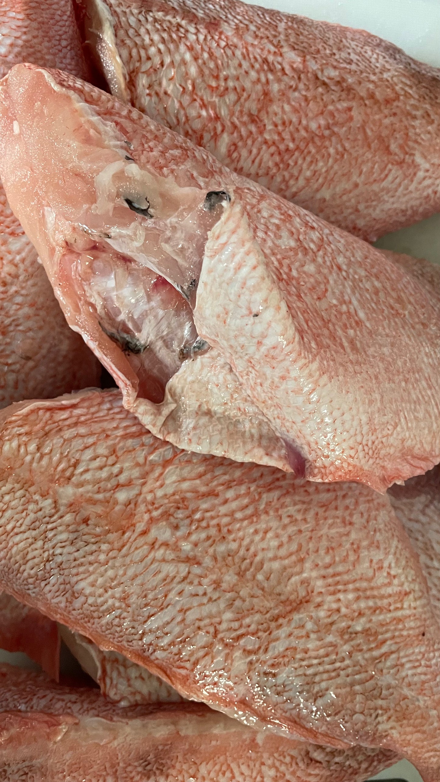 Frozen Red Bream Fish (300-500) 1/2 Box(3kg)