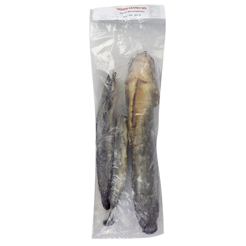 Frozen Catfish (500-800) 2.5Kg X 2