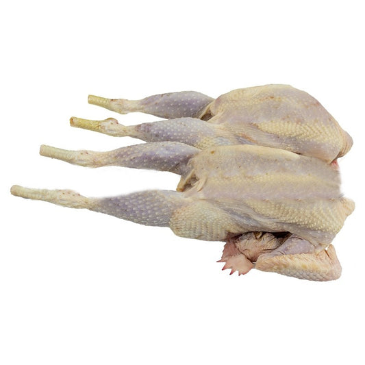 Fresh Whole Hard Boiler Chicken