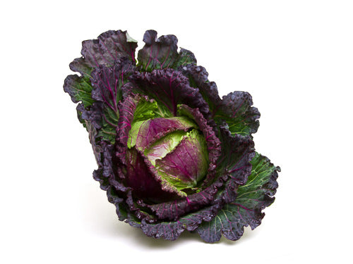 MASJanuary King Cabbage-Fd