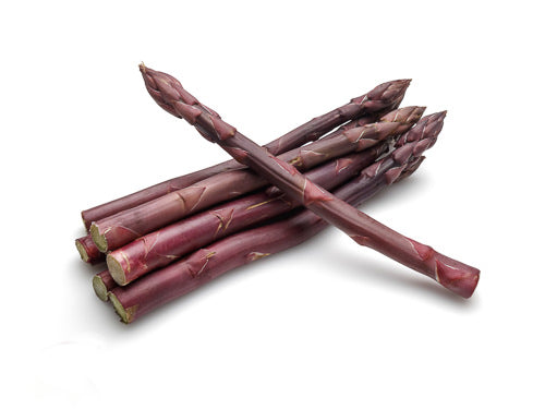 MASLongstem Purple Asparagus-Fd