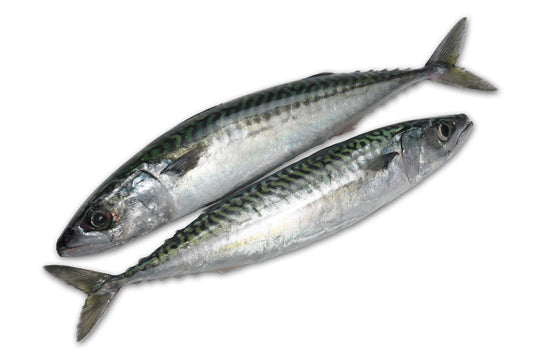 MASFrozen Mackerel Fish 1kg-Fd Fish, Meat & Poultry Asetena Pa 