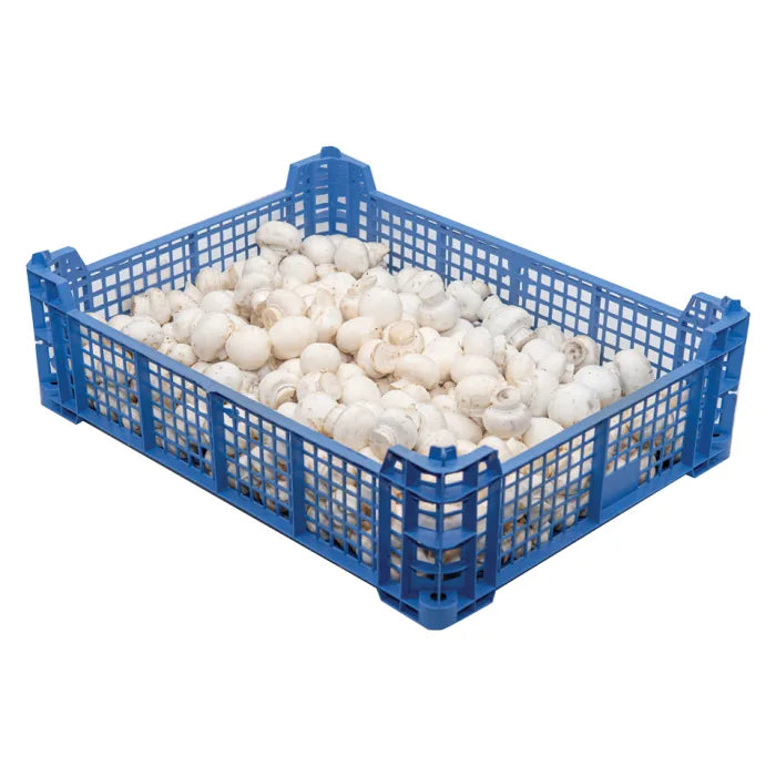 MASButton Mushrooms-1x2.5kg-Food
