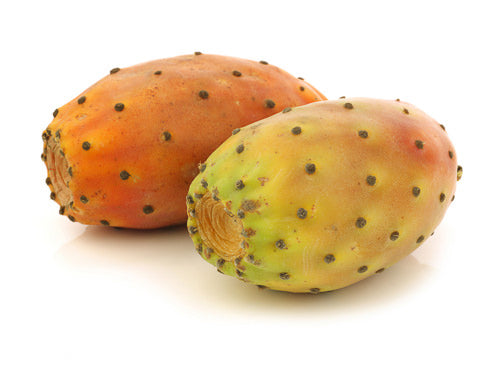 Prickly Pear