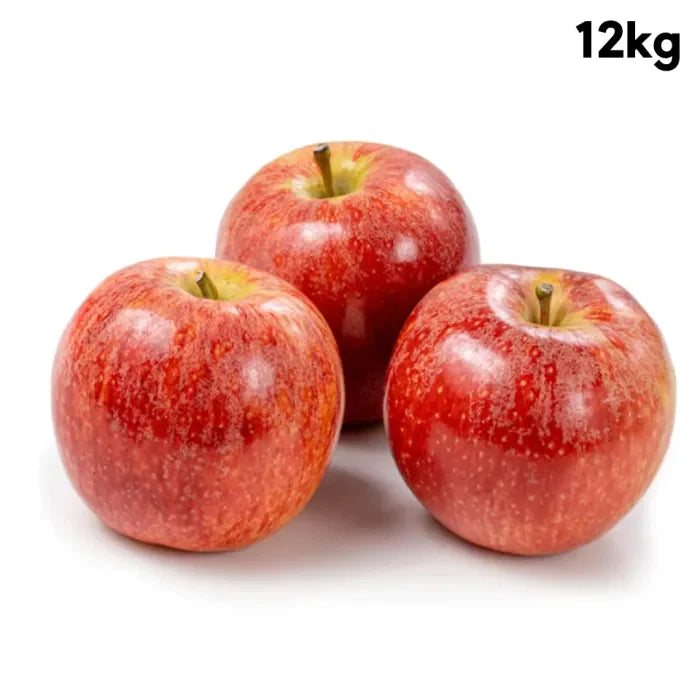 MASRed Apples (Royal Gala Apples)-1x12kg-Food