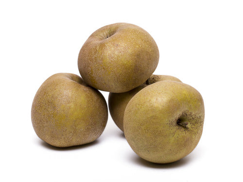 MASRusset Apple-Fd