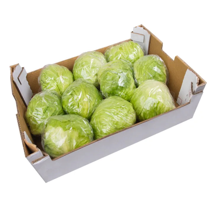MASIceberg Lettuce-1x(10-12)-Food