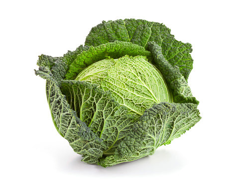 MASSavoy Cabbage-Fd