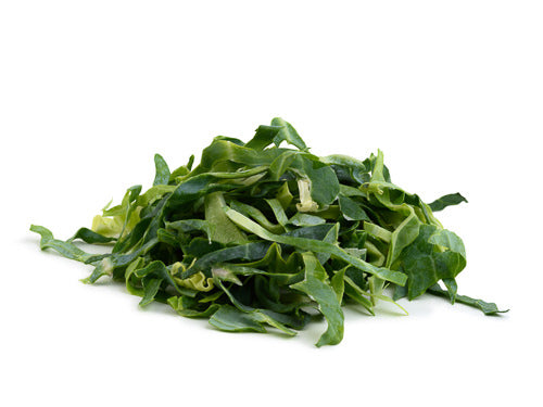 MASPrepared Shredded  Spring Green Cabbage-Fd