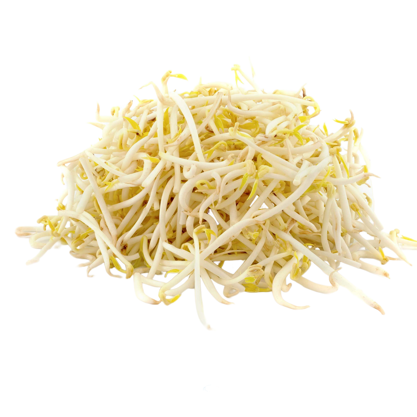 Fresh Bean Sprouts 1x4kg Lettuce & Leaf Vegetable Asetena Pa 