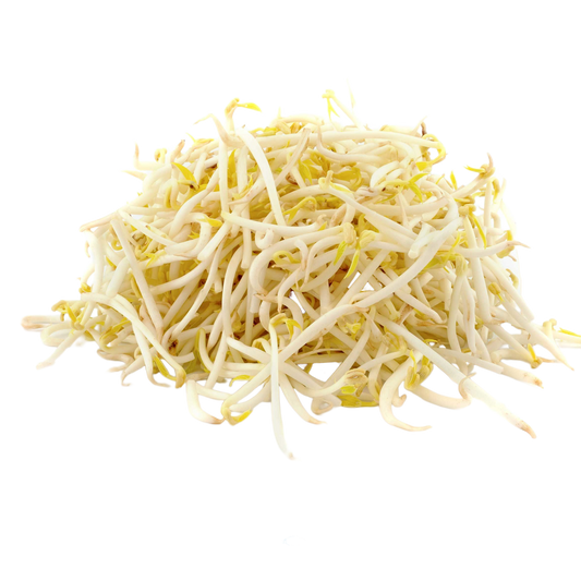 Fresh Bean Sprouts 1x4kg Lettuce & Leaf Vegetable Asetena Pa 