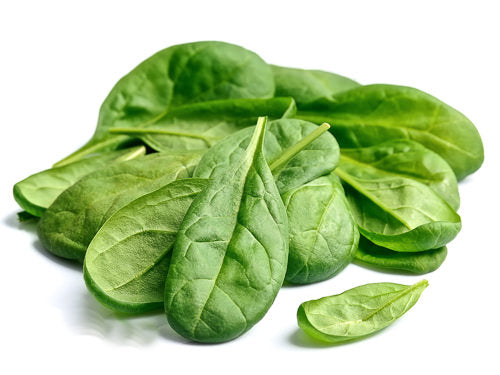 MASSpinach-Fd