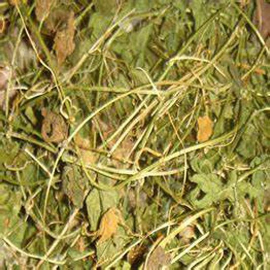 MASCerasee bush 50g Bitter Melon-Fd