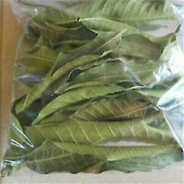 SKWild Harvested Jamaican Mango Leaves 50g bags